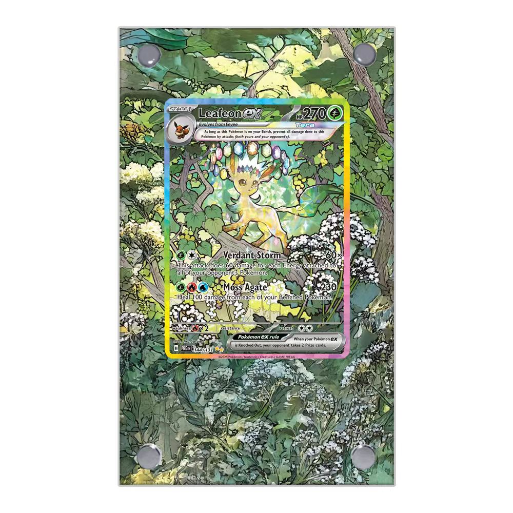 Pokemon-kaarten Display PTCG L - Display Case Acrylic recensie en prijs