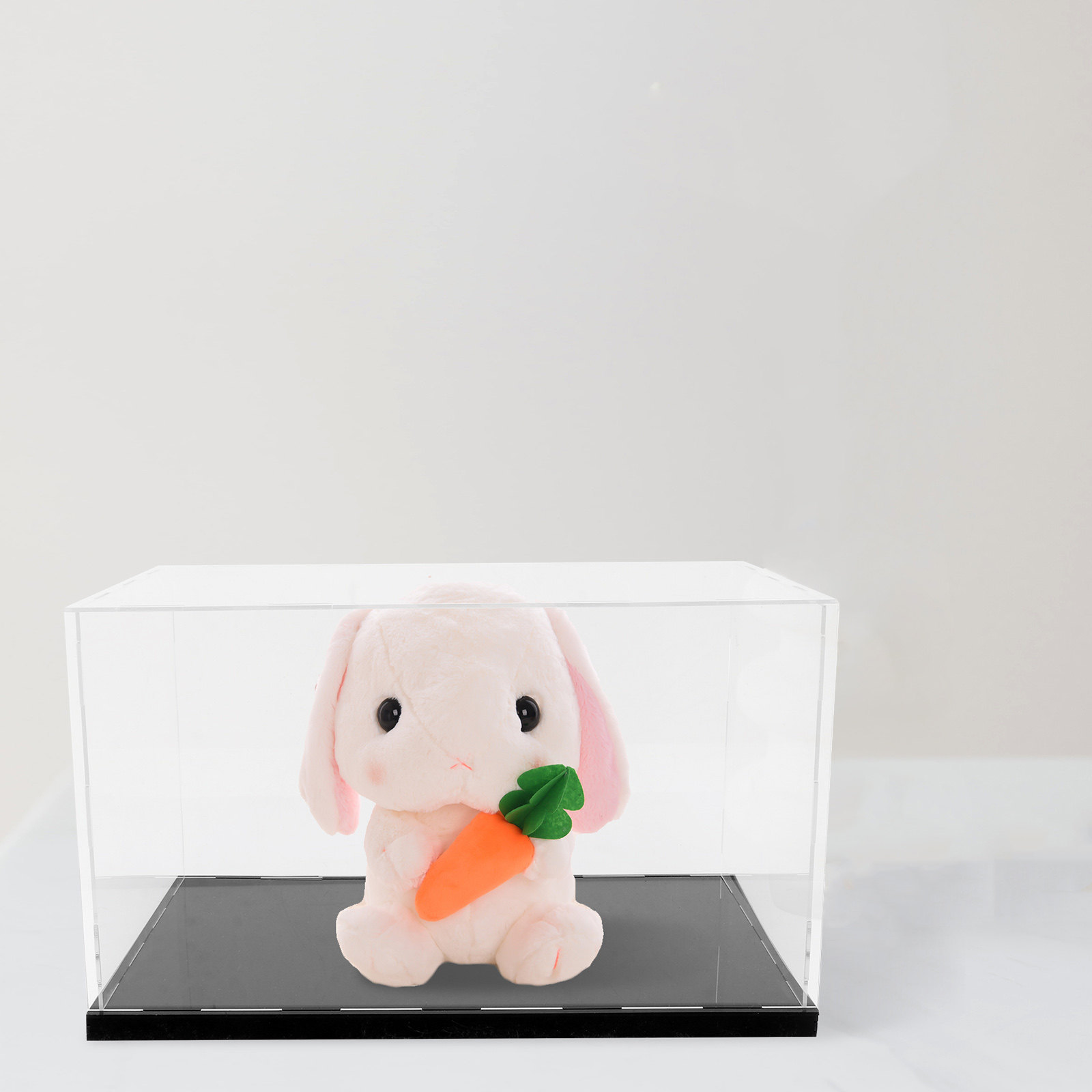 1 stuks acryl displaybox, tran - Display Case Acrylic recensie en prijs